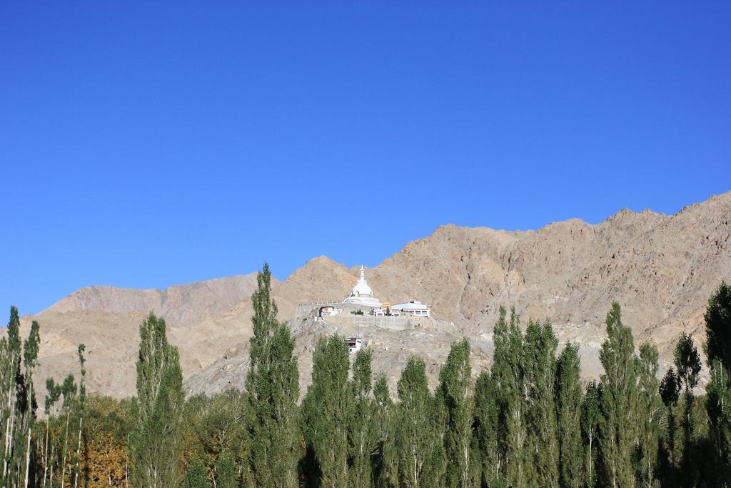 Hotel Nalanda Ladakh Лех Экстерьер фото