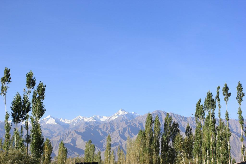 Hotel Nalanda Ladakh Лех Экстерьер фото